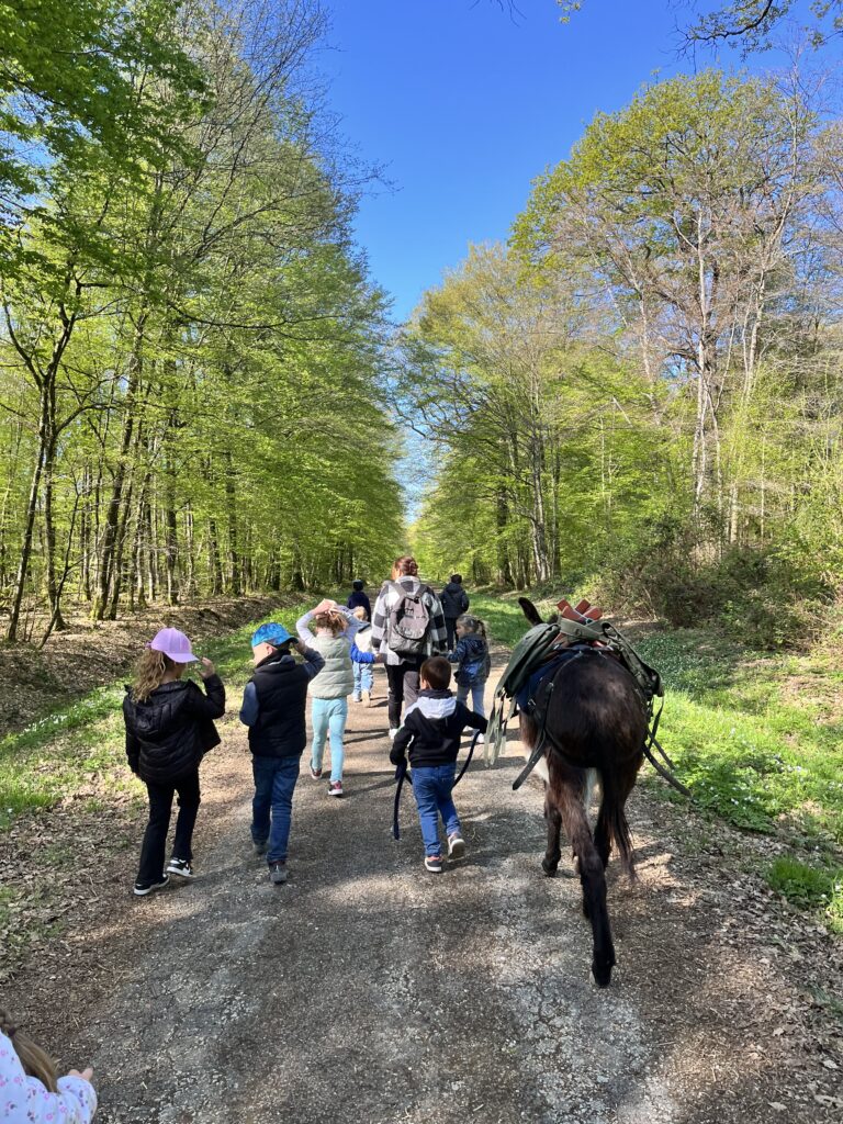 Chasse au trésor avec un centre aéré dans la forêt d'Hautvillers avec les ânes 