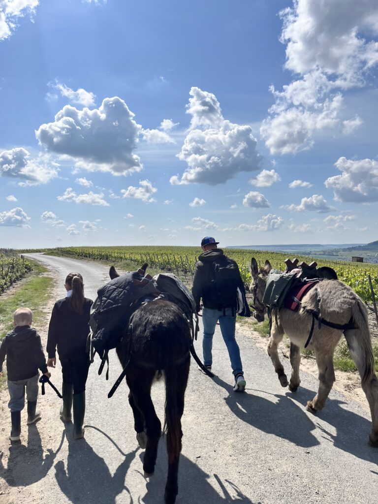 Balade en famille avec Komia & Lasko à Hautvillers