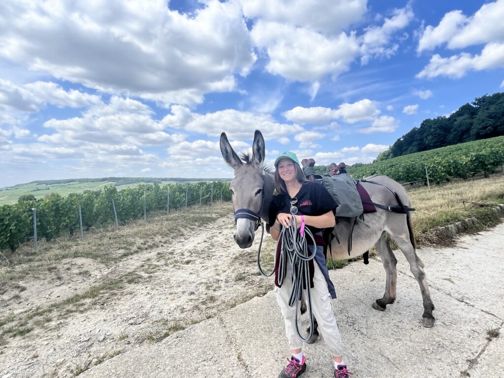 une fille tenant un âne dans les vignes 