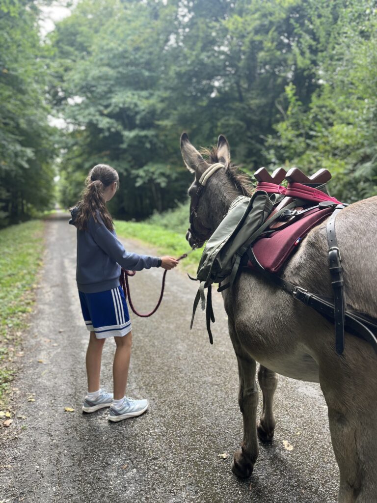 une fille tenant un âne dans la foret 