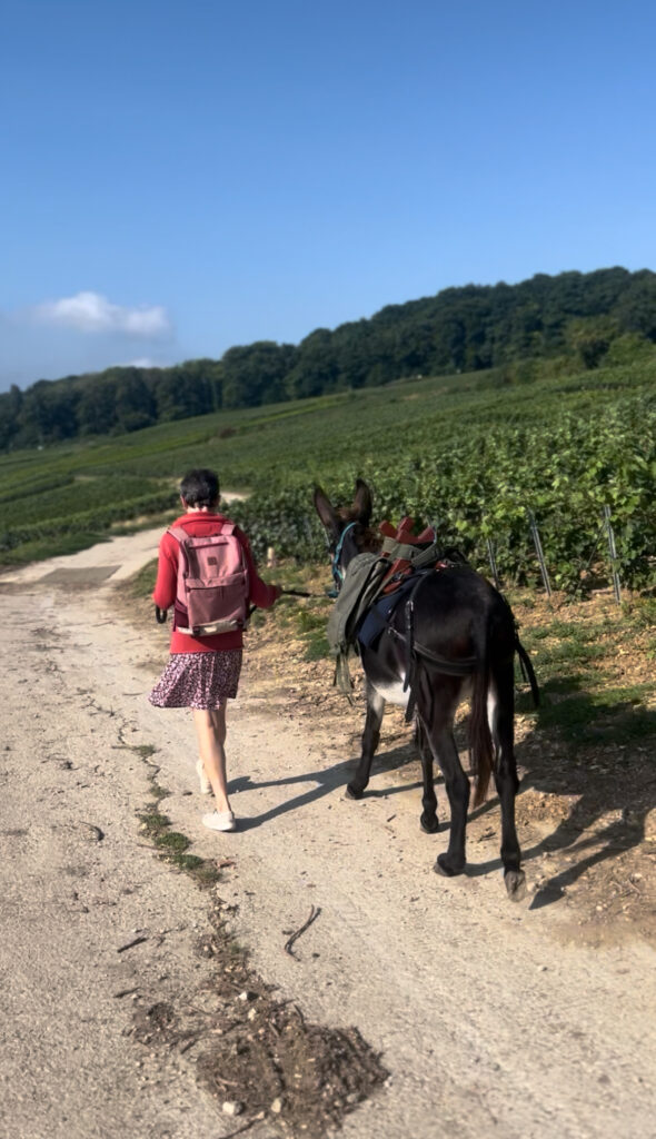 une dame tenant un âne dans les vignes 