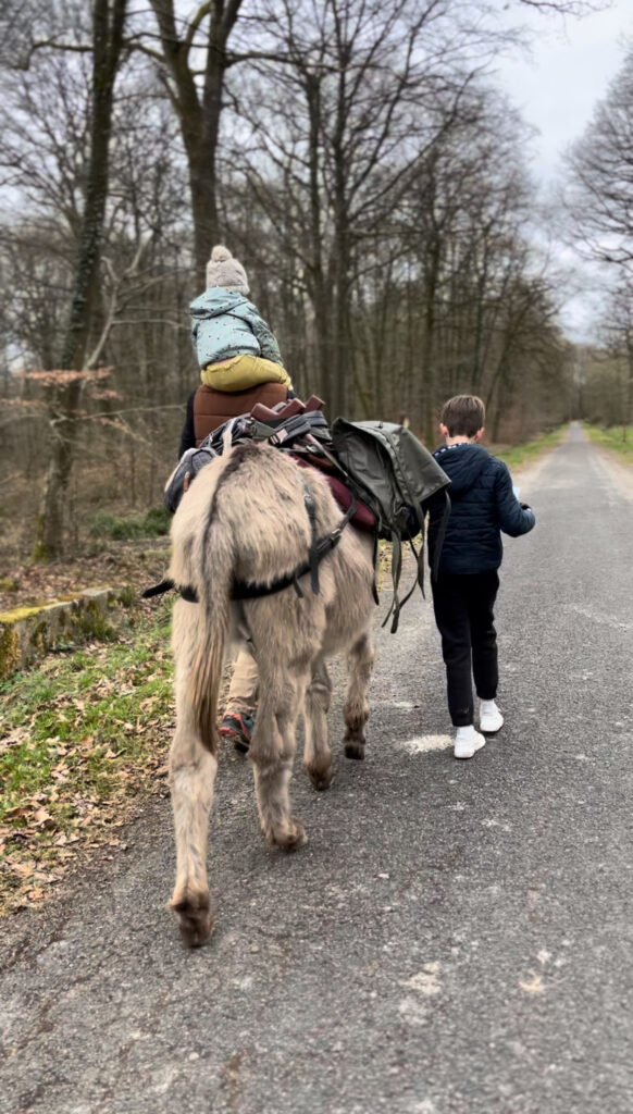 Balade en famille dans la forêt d'Hautvillers avec Lasko, l'âne