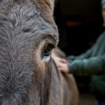 Julie.Severin.photographie