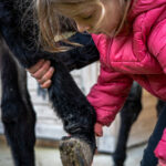 Julie.Severin.photographie