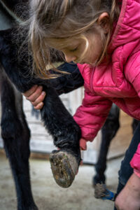 Julie.Severin.photographie