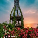 image bouteille romery